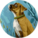 Vikas Kumar profile picture